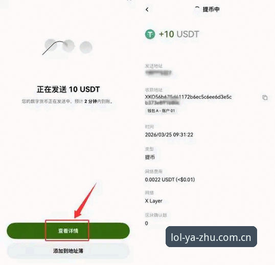 LOL押注官网使用指南详解——从注册到提现的全流程操作手册